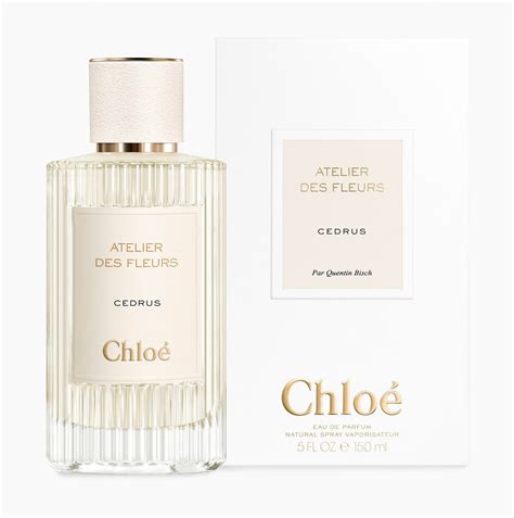 cedrus chloe|fragrance reviews for men chloe.